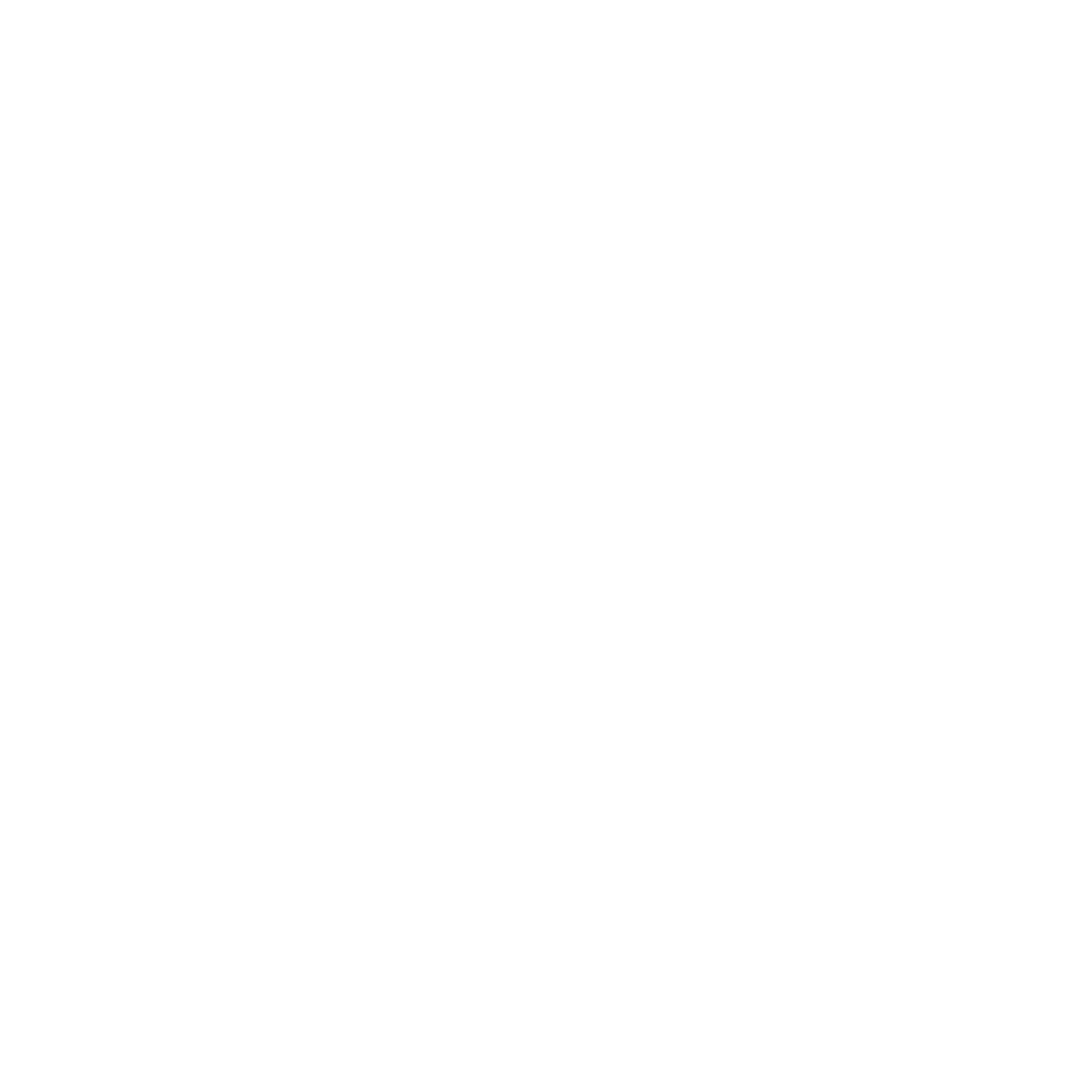 zyklus-white.png